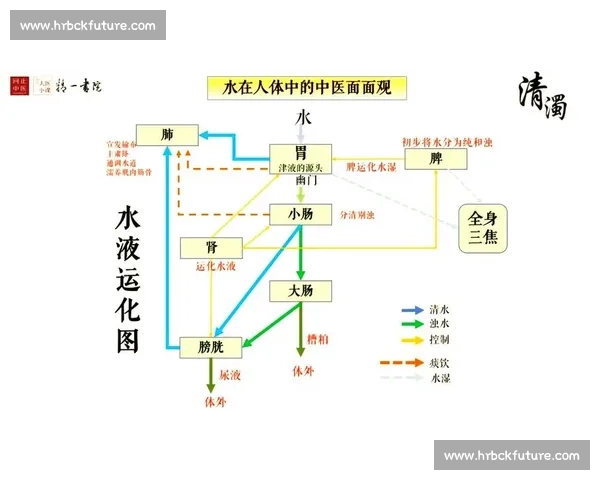 冷热交替刺激下人体生理反应与健康调节的机制研究探索